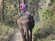 chitwan-national-park-248