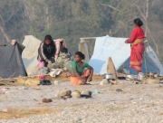 chitwan-national-park-342