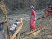 chitwan-national-park-367