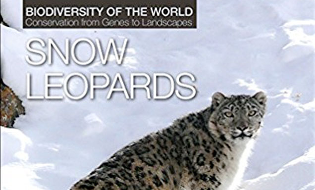 Snow Leopards - Leadership, Knowledge, Learning, LLC - Collective ...